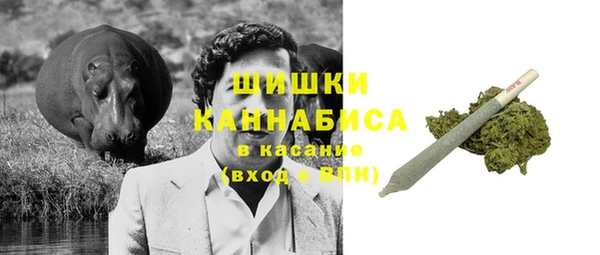 прущие крисы Мегион