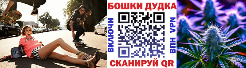 Купить закладки  Западная Двина  Канабис сатива 